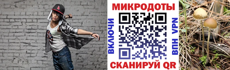 цены   Фурманов  Галлюциногенные грибы MAGIC MUSHROOMS 